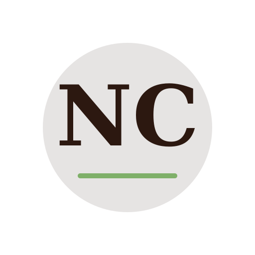 Nemo Chimney Services logo